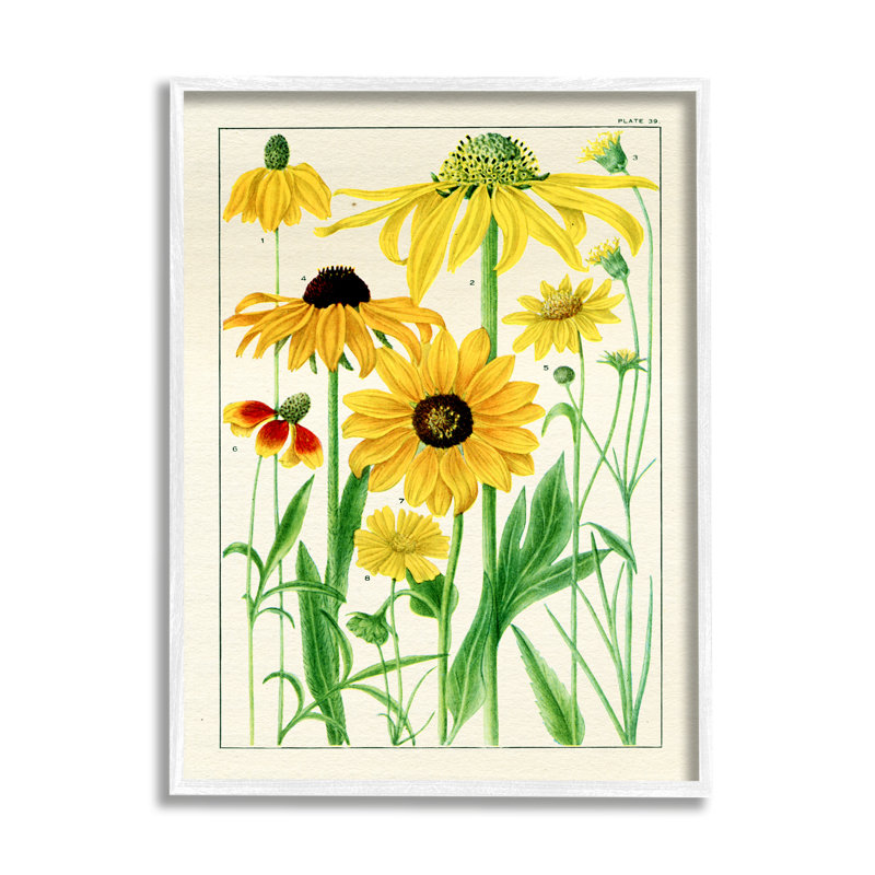 Marguerites jaunes rétro par Piddix, Giclée encadrée blanc bord de mer, H 30 po x l 24 po x P 1,5 po