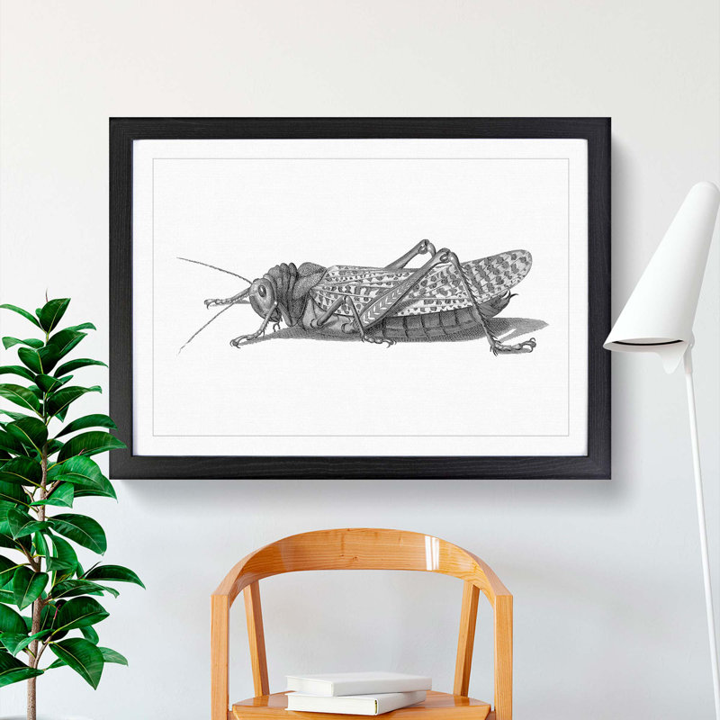 Cricket in Black & White by George Shaw - Picture Frame Painting Print on MDF, Black Framed, 27cm H x 36cm W x 2cm D