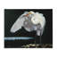 «Stoic Heron», art mural sur toile par D. Rust-1322163241