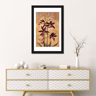 " Burgundy Orchid " by Jill Deveraux