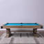 Table de billard Manchester-1891487880-1891487930-1885433719