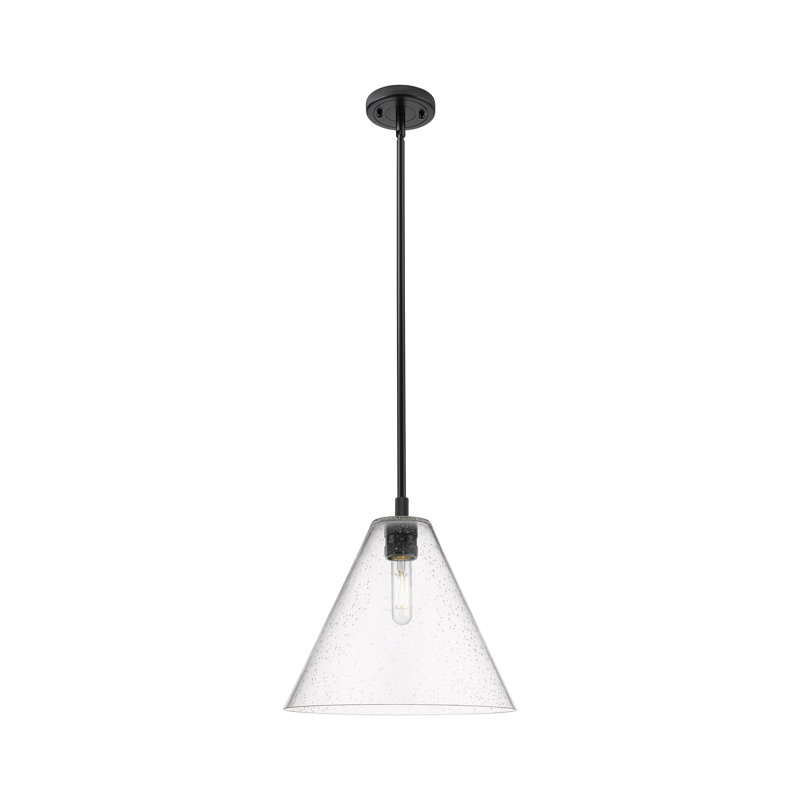 Kehlani - Luminaire suspendu 1 tige Berkshire, H 38,75 po x l 12 po x P 12 po, Noir mat