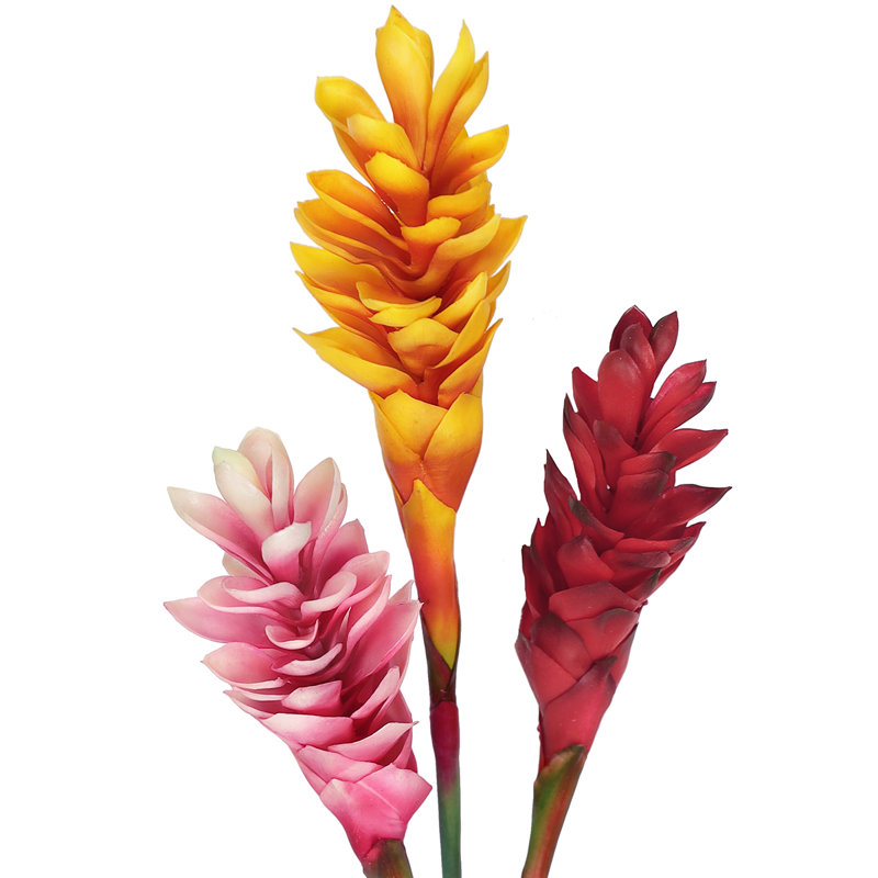 Tige de gingembre artificielle Real Touch, Rose