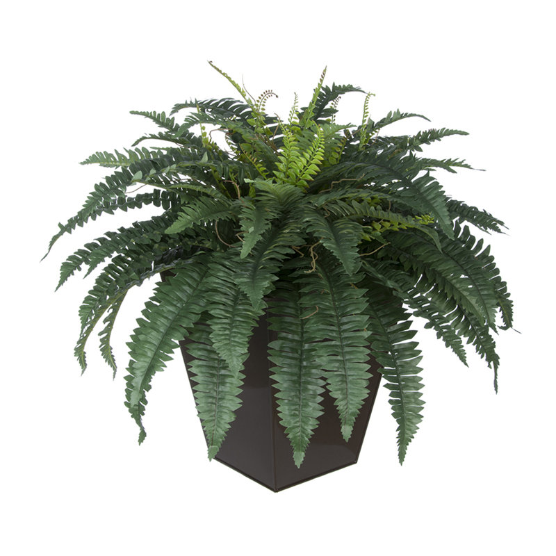 Plantes artificielles 12" en pot de fleurs, Brun brillant