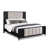 Black/White est en rupture de stock