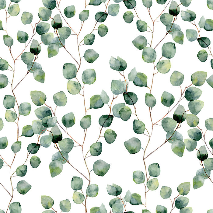 Kierria Matte Wallpaper Roll, 416 x 254cm