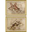 Bozettto & Disegnare Giclee Print by David Phoenix