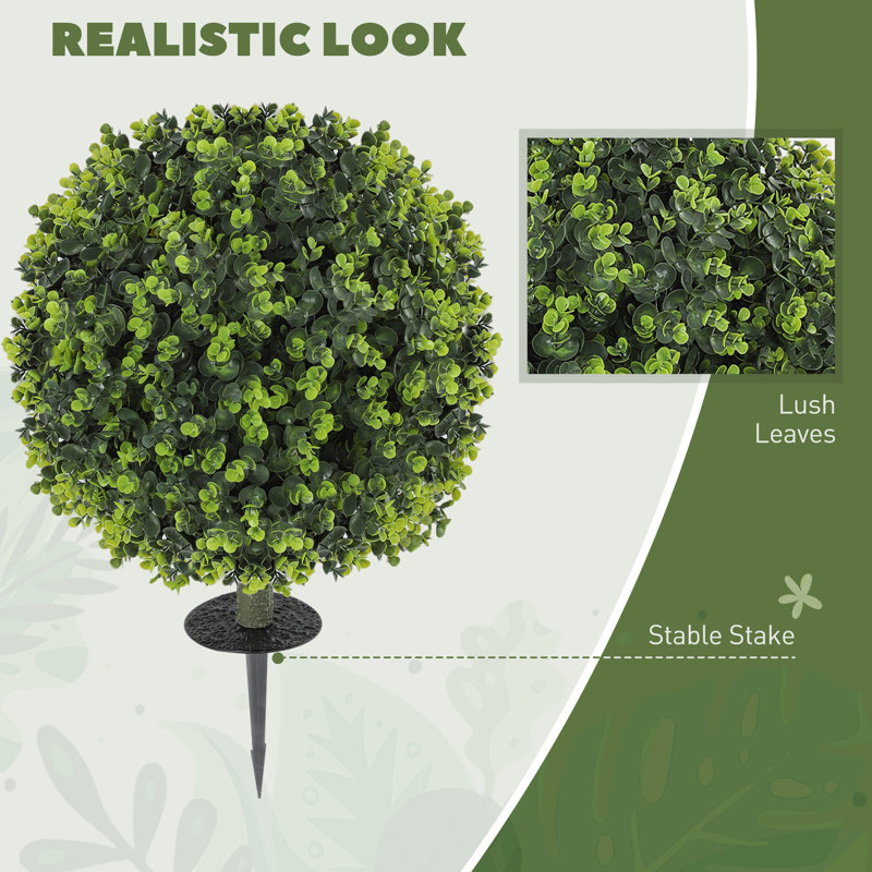 56cm Plant