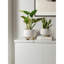 Pots de plantes, ensemble de 3, pots à fleurs en céramique avec trou de drainage et soucoupe, pot de fleurs d'intérieur avec coussin en filet, cadeaux pour maman, glacis réactif