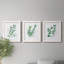 «Freshly Picked I», ensemble de 3 reproductions d'art sur toile-1825290760-1825290761