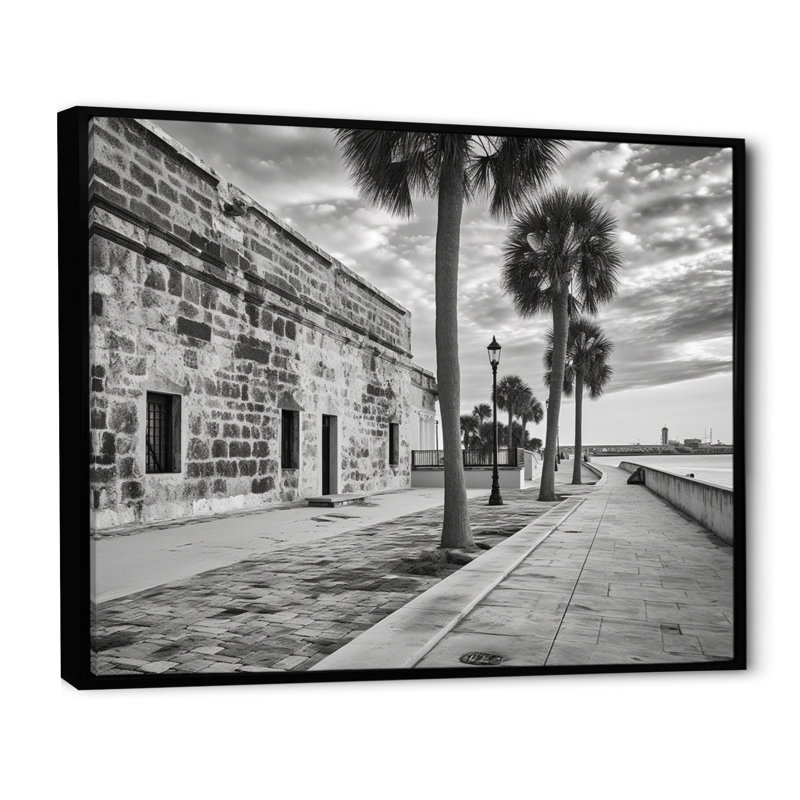 «Black and White Florida Sunshines State I», reproduction d'art sur toile, Cadre flottant noir, H 24 po x l 32 po x P 1 po