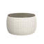 Icarus 34" Wide Storage Ottoman with a Solid Wood Top-1285108886