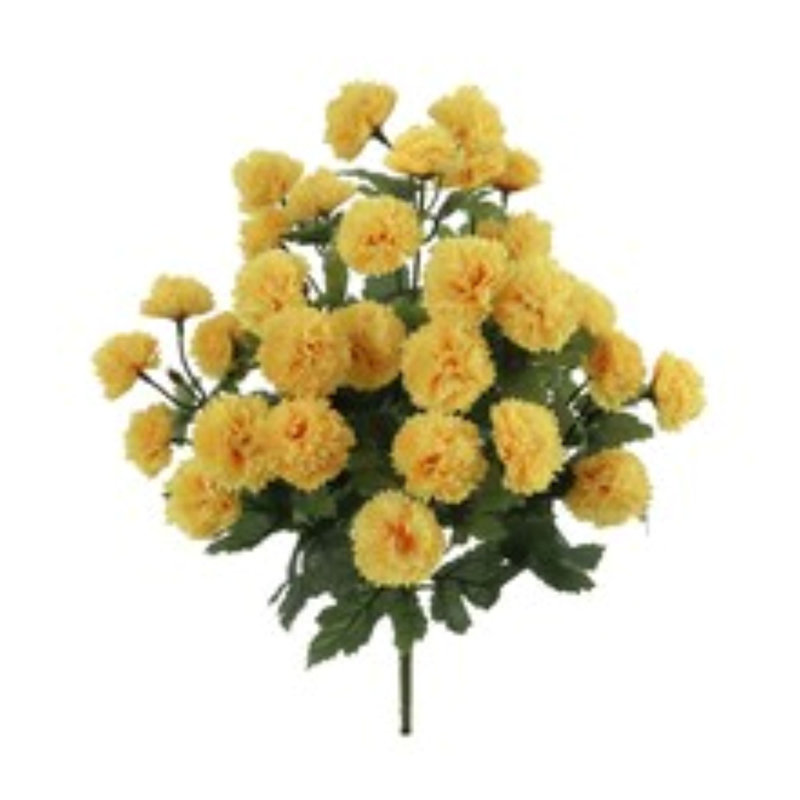 18 "maman buisson - paquet de 2