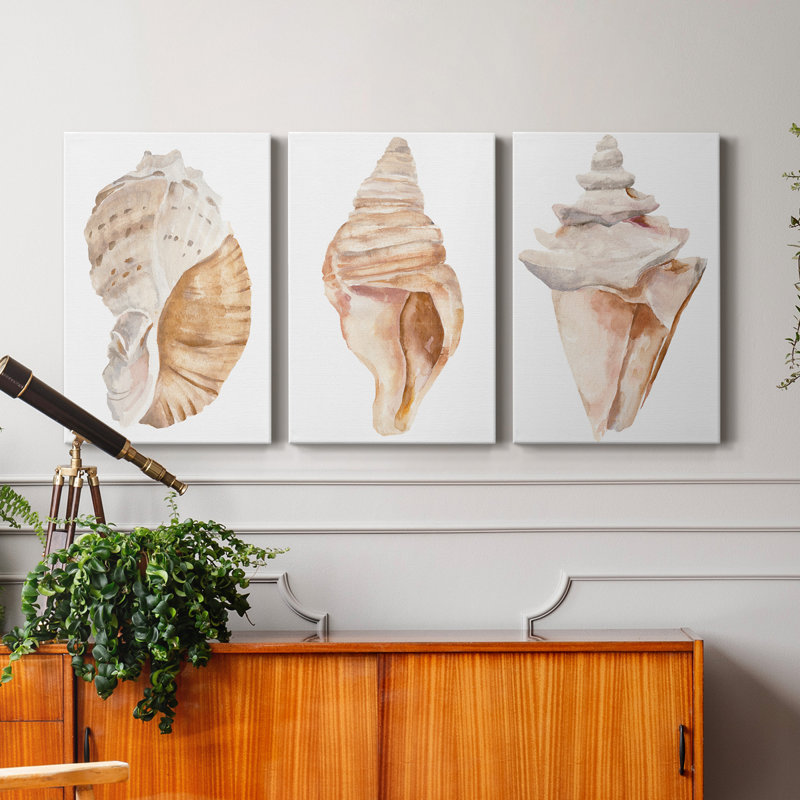 " Seashell I " 3 - Pieces Painting Print, 12" H x 8" W x 1" D