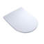 Compact Softclose Non Slamming Elongated Toilet Seat