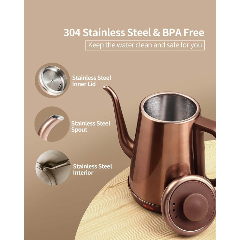 Basowin Gooseneck Electric Kettle(1.0L),1000W Electric Tea Kettle Of 304 Stainless Steel,Auto Shut Off,Coffee Kettle For Pour Over And Tea