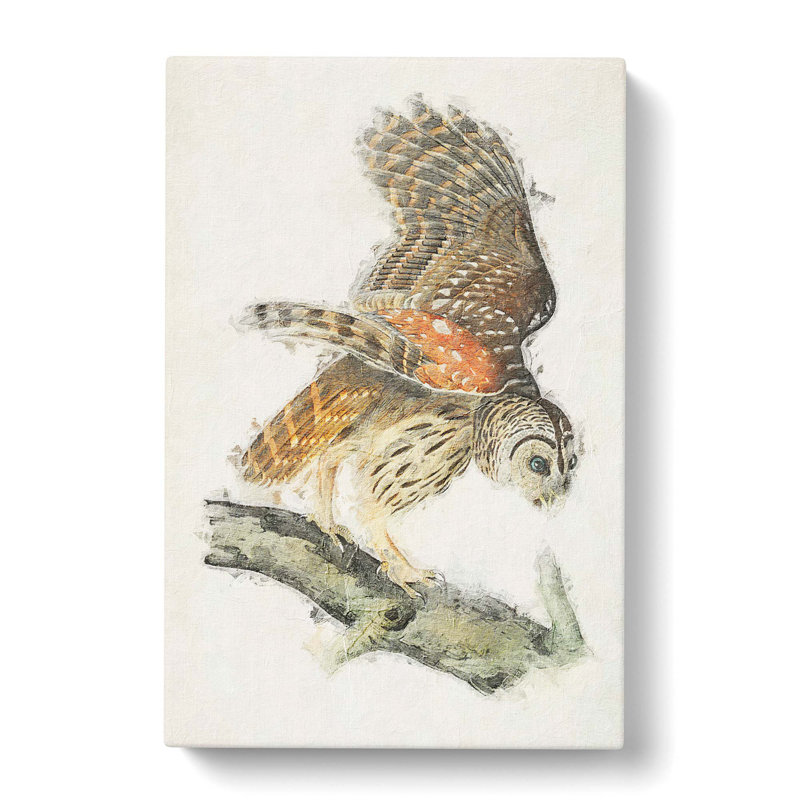 Barred Owl by John James Audubon - Wrapped Canvas, 76cm H x 50cm W x 3cm D