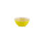 Lemon Earthenware Salad Bowl