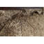 Tapis antique 8 x 12