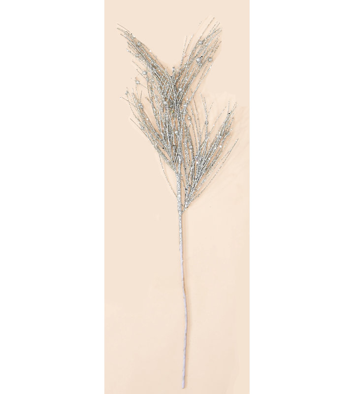 Jet de pin scintillant, Argent