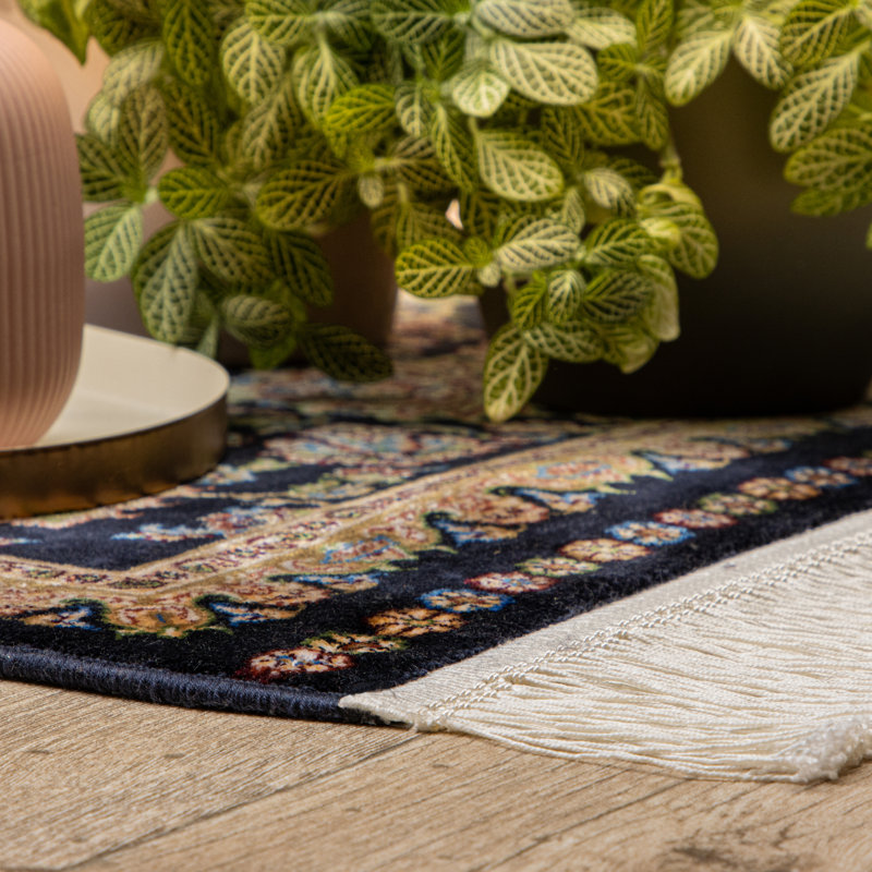 Lonara Oriental Area Rug, Rectangular 300 x 400cm