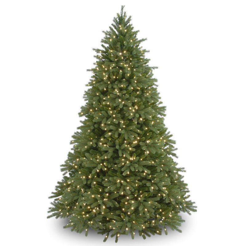 Jersey Fraser Fir Tree with Clear Lights, 8'