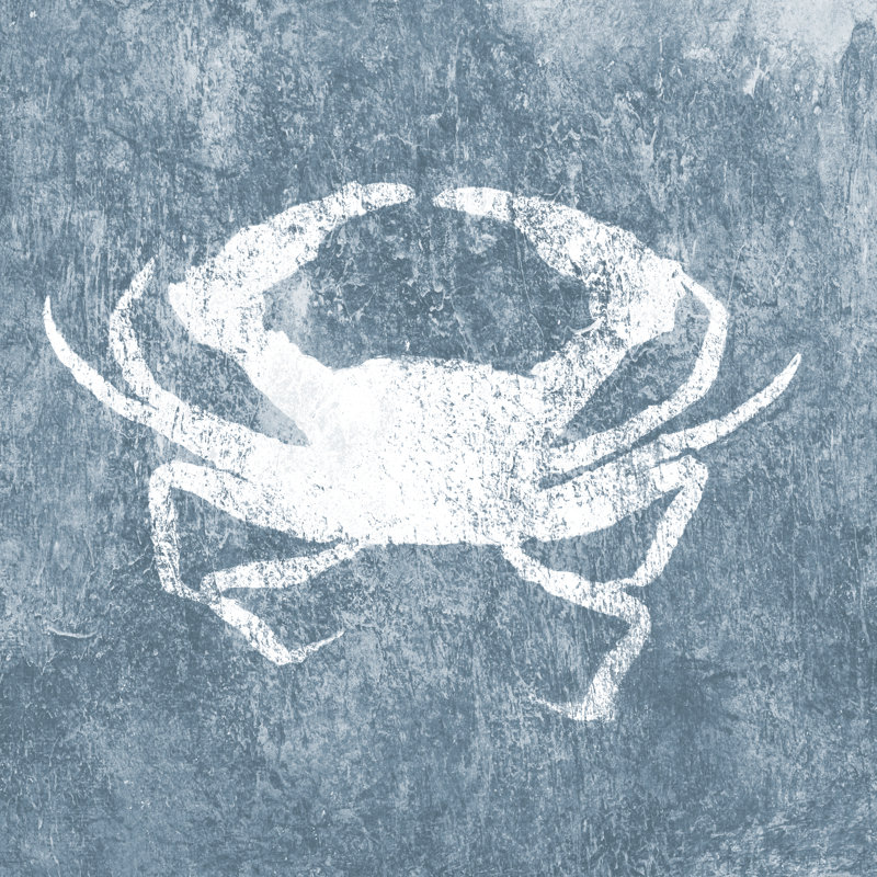 Crab With Blue Gray Texture - Wrapped Canvas Painting, 30cm H x 30cm W x 3.8cm D