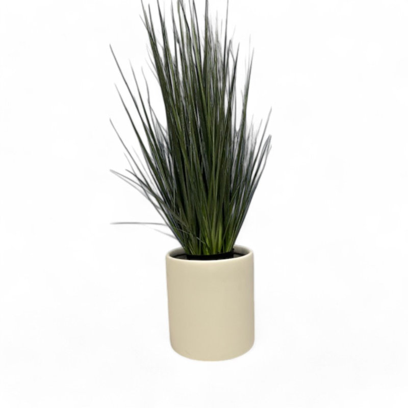 Pot à fleurs en fiberstone Pelley, H 8 po x l 8 po x P 8 po, Blanc