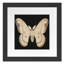 Flutter 6 Print by Todaro, Katie