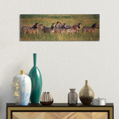 Burchell'S Zebras (Equus Quagga Burchellii) In A Forest, Masai Mara National Reserve, Kenya - Wrapped Canvas Panoramic Print