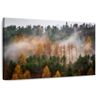 Alvord Mist Covered Autumn Forest
