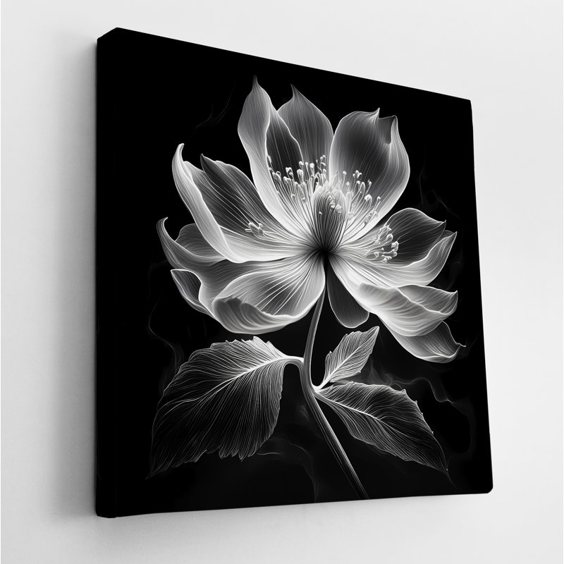 Xray Jasmine II, 48" H x 48" W
