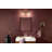 19.25" 2-Light Vanity Light with Clear Glass-108202004