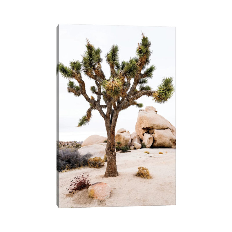 Joshua Tree National Park III by Susanne Kremer - No Frame Gallery-Wrapped Canvas Giclée on Canvas