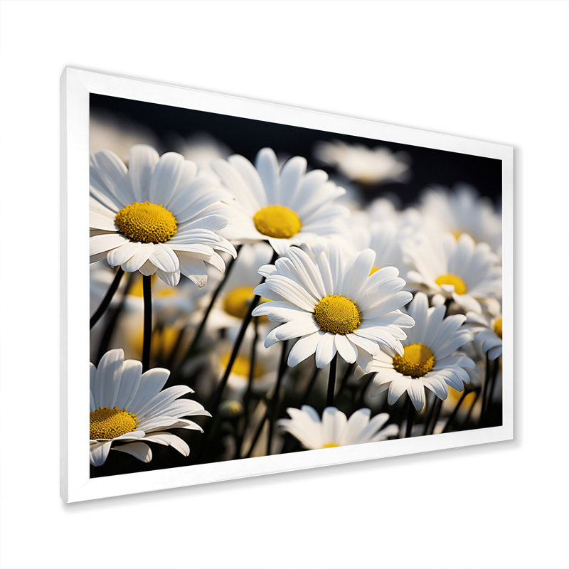 Daisies Field Sunrise I - impression, H 12 po x l 20 po x P 1 po, Cadre simple blanc