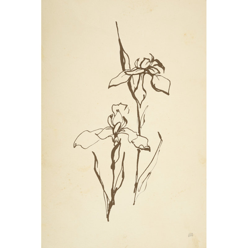«Vintage Line Iris II» par Chris Paschke - impression, H 18 po x l 12 po, Toile tendue