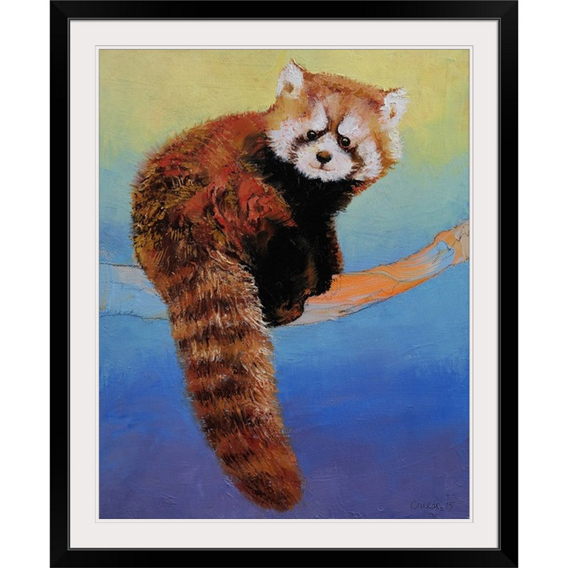 «Anjlee Red Panda» par Michael Creese, reproduction d'art, Cadre noir, H 38 po x l 32 po x P 1 po