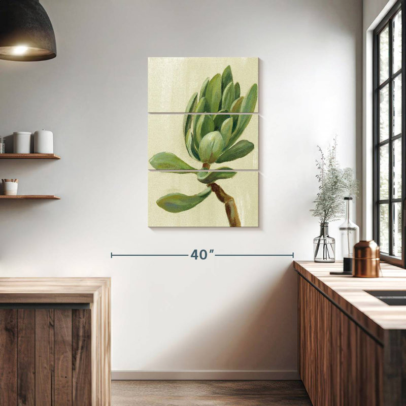 Plante grasse Harnek, H 38 po x l 24 po