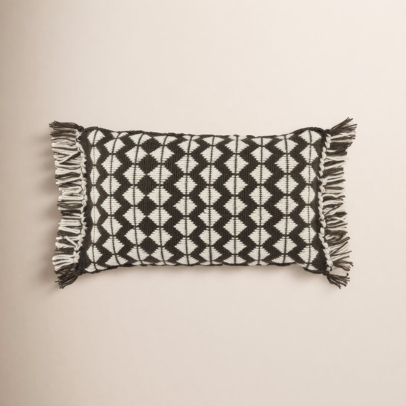 Senda Fringed Outdoor Throw Pillow, Black/Ivory, Pillow Cover Only - No Insert