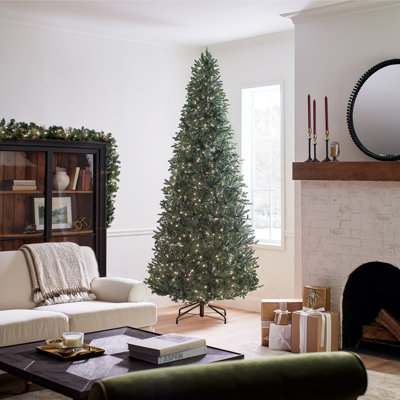 North Valley Spruce Tree