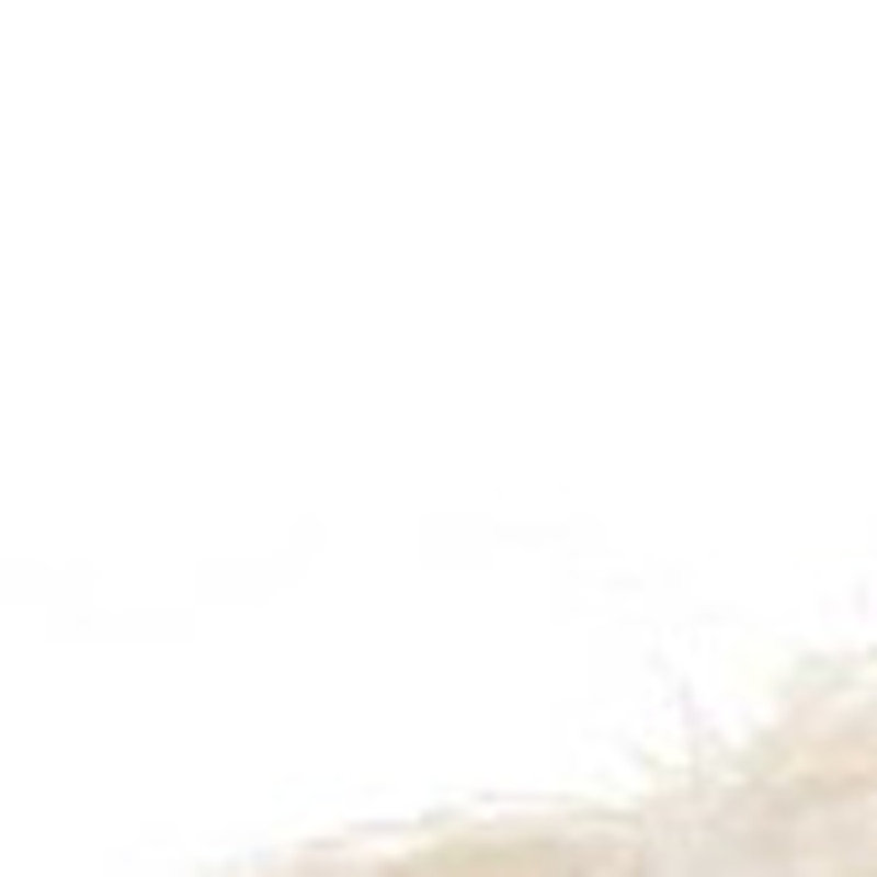 Coussin Super Shaggy, Beige, H 20 po x l 14 po
