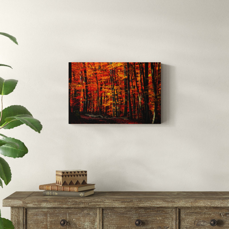« forest densation », reproduction de photo sur toile tendue, H 16 po x l 24 po x P 2 po