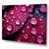 Wrapped Canvas