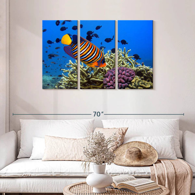 Brampt Royal Angelfish, 28" H x 45" W