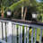 Solar Post Deck Cap Light Outdoor Waterproof(set Of 2)