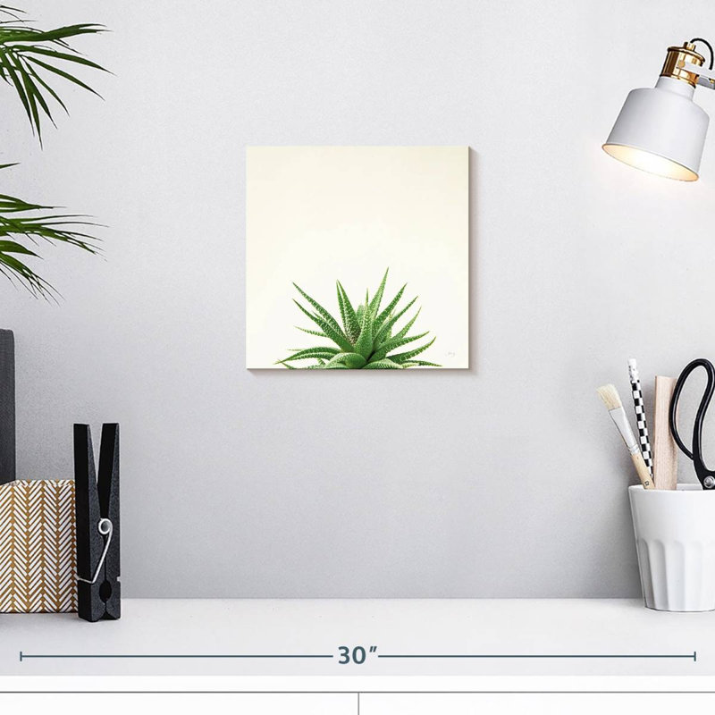 Harnek Succulent Simplicity Neutral II, H 10 po x l 10 po