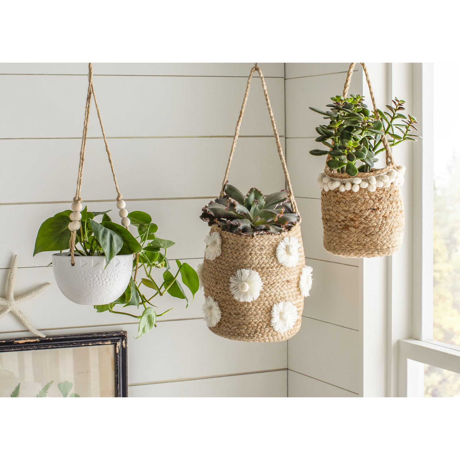 Olanda 5" Ceramic Pot Planter, Matte White