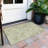 Tapis intérieur / extérieur ACY1006 Aloe-99105668