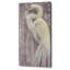 «Coastal Egret II Legs» par Albena Hristova, impression sur toile tendue-783253813