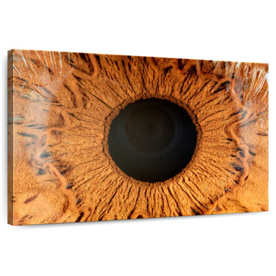 Alcaraz Magnified Human Eye